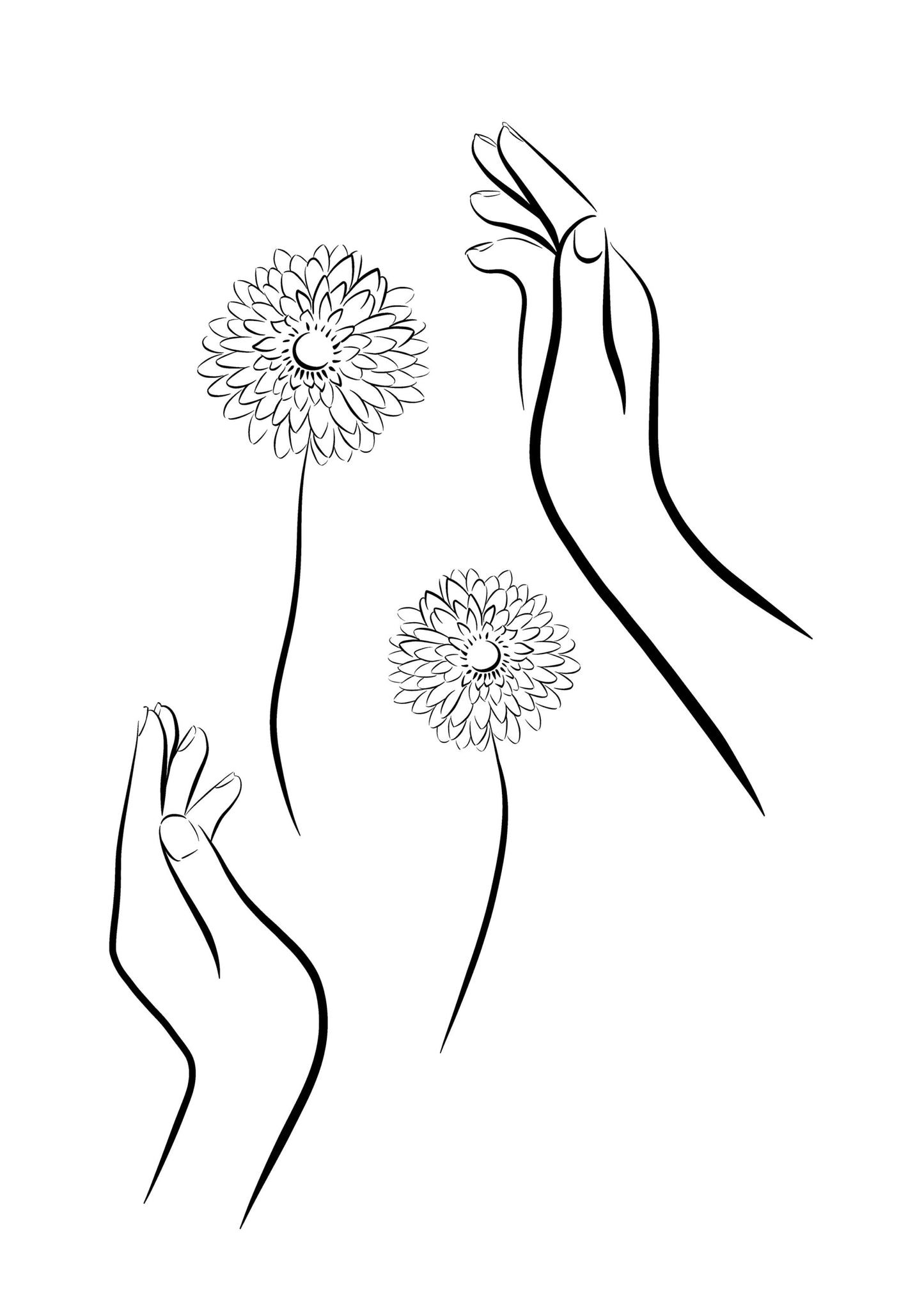 Minimalist Hands And Gerbera Line Art