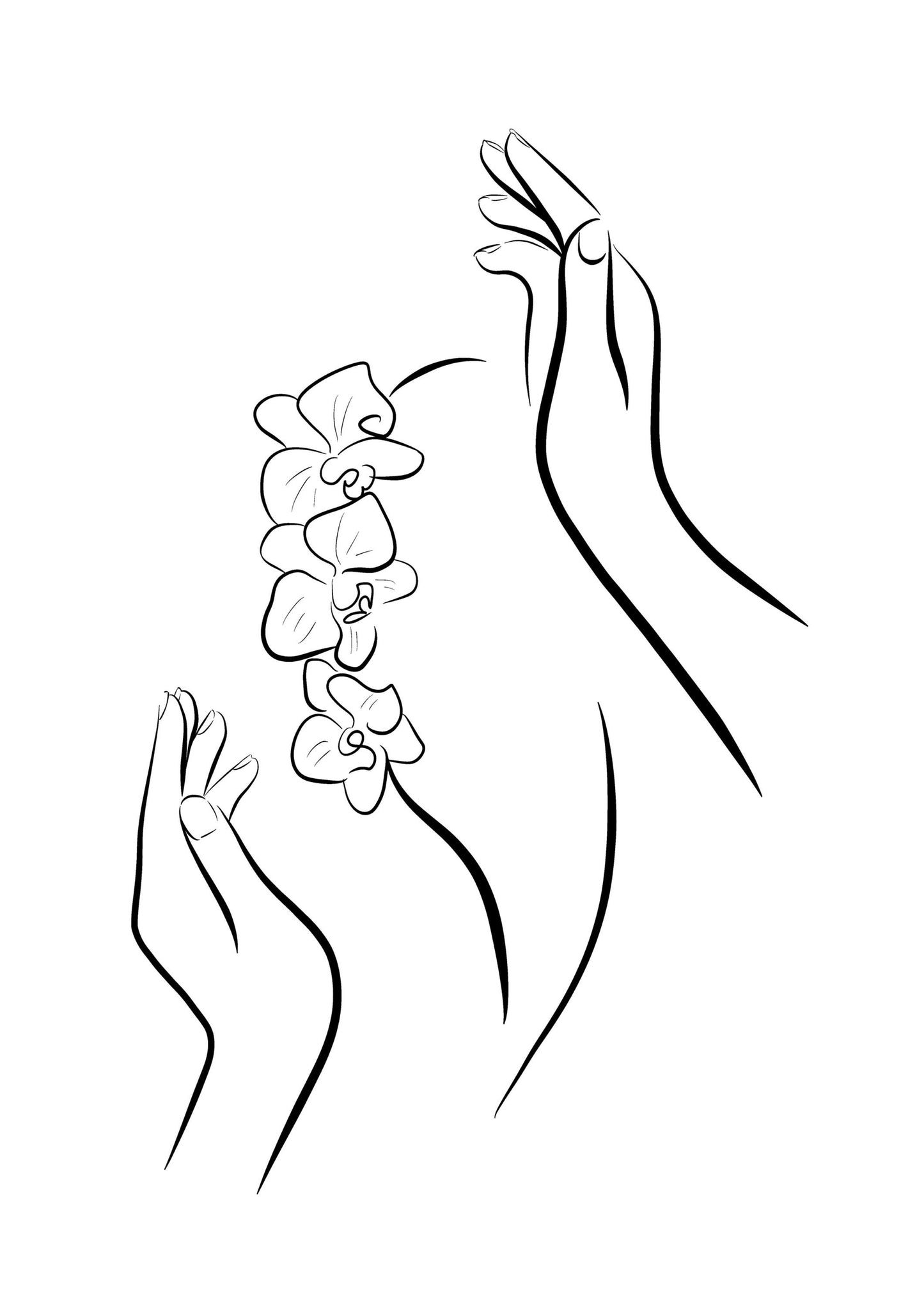 Minimalist Hands and Orchid Line Art