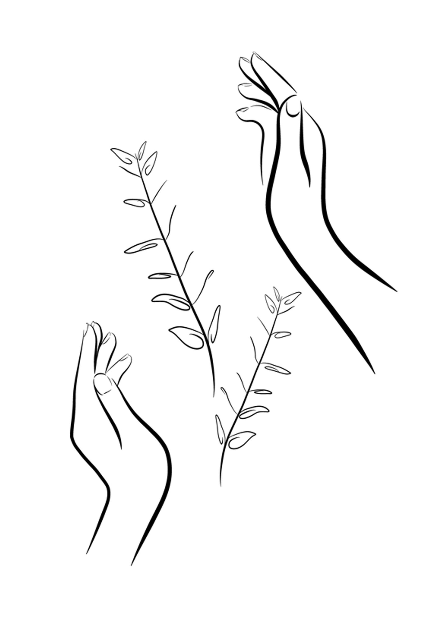 Minimalist Hand And Eucalyptus Line Art